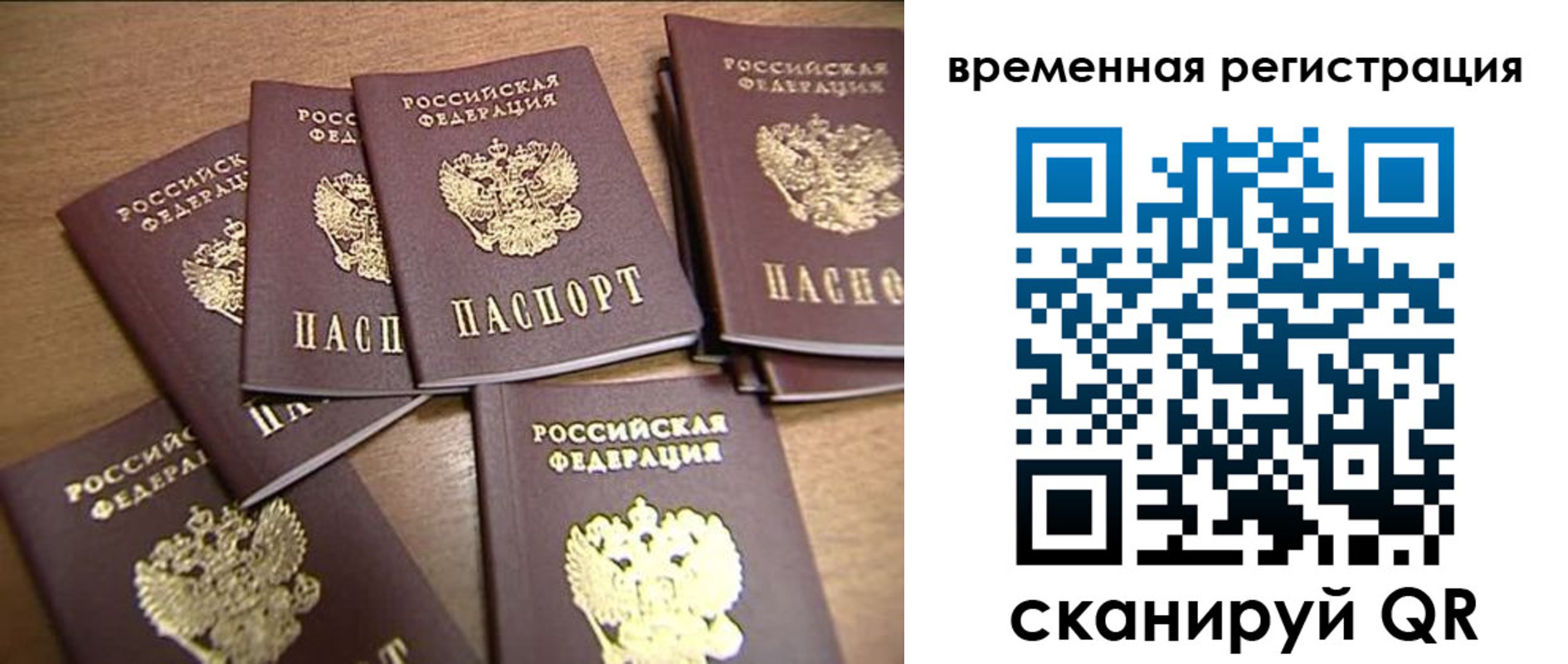 прописка ребенка в Мариинском Посаде